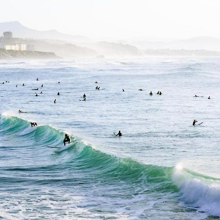 Magnifique T3 - Grande Plage Biarritz Exteriör bild
