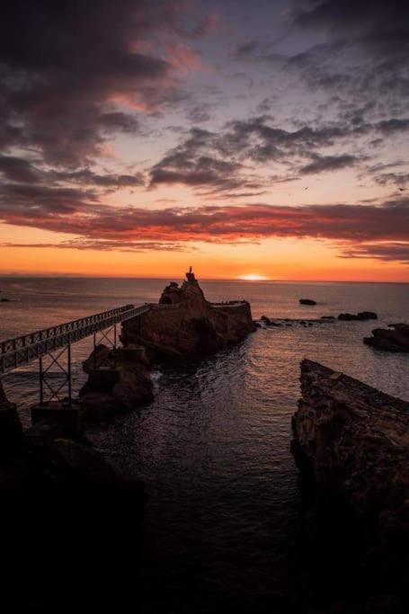 Magnifique T3 - Grande Plage Biarritz Exteriör bild
