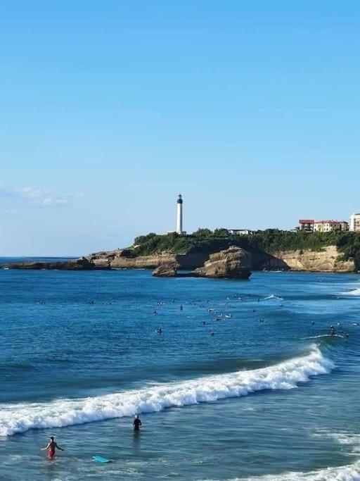 Magnifique T3 - Grande Plage Biarritz Exteriör bild
