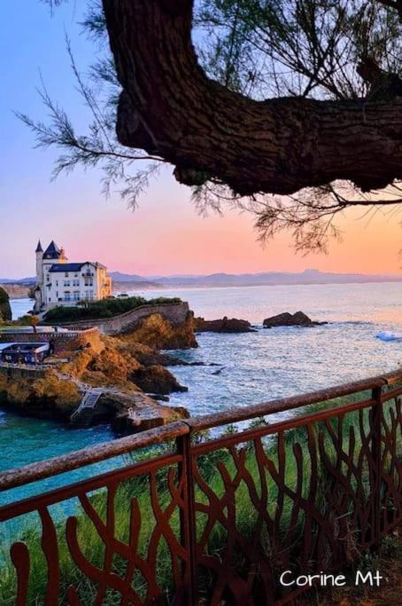 Magnifique T3 - Grande Plage Biarritz Exteriör bild