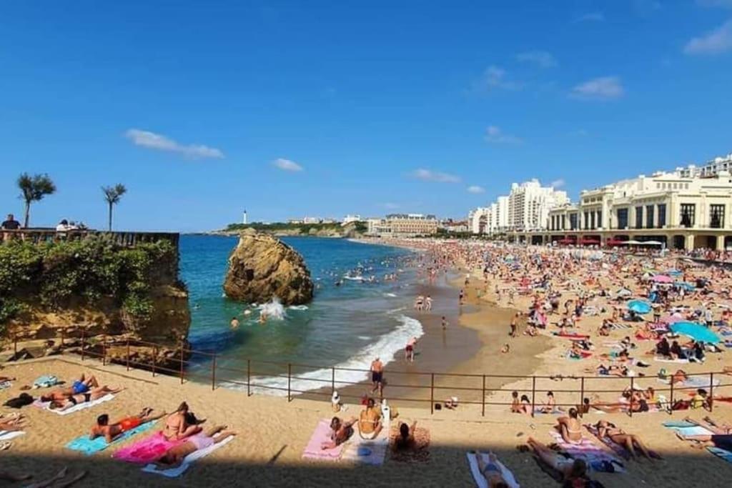 Magnifique T3 - Grande Plage Biarritz Exteriör bild
